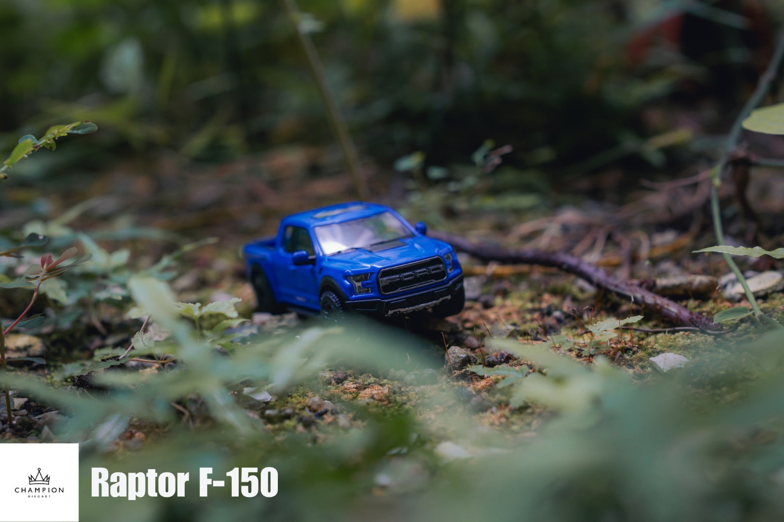 Preorder Champion Diecast 1 64 Ford Raptor F 150 2 Colors Horizon Diecast